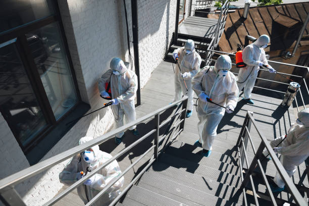 Best Environmental Consulting for Mold Prevention  in Sausalito, CA