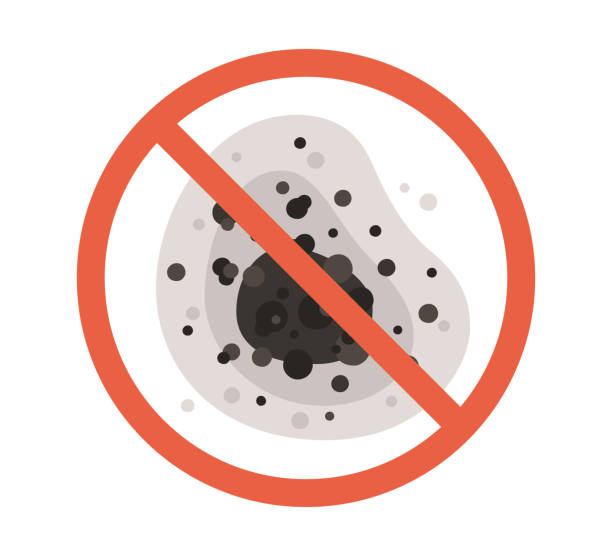 Mold Removal for HVAC Installations in Sausalito, CA